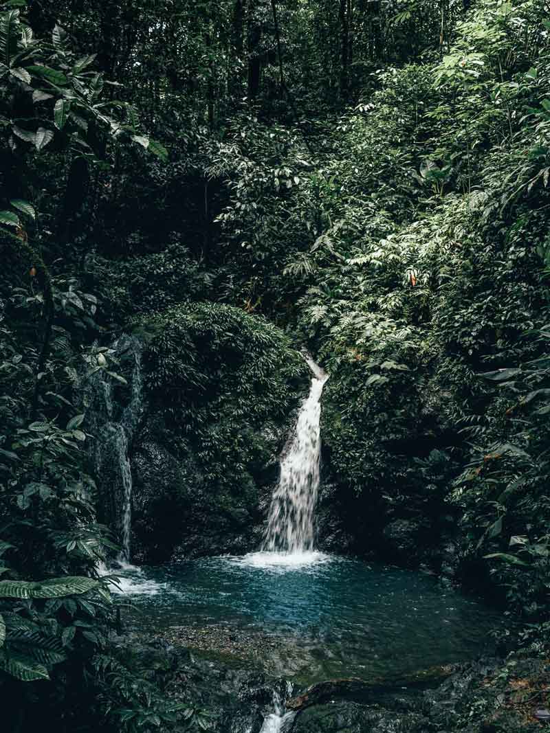 Cascada del Amor, Nuquí Cascada del Amor, Nuquí, pacifico colombiano