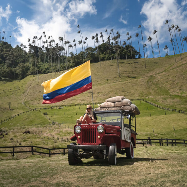 Valle de Cocora, Eje Cafetero, Colombia