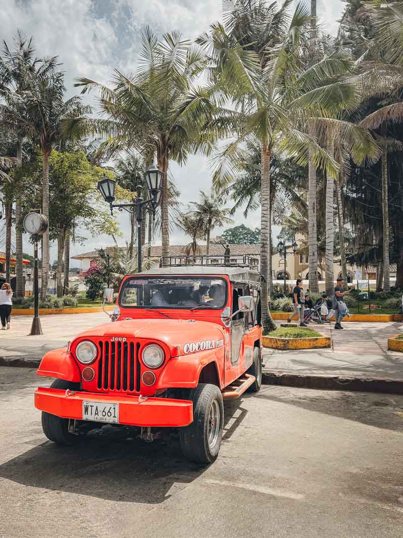 Willy, Salento, Colombia