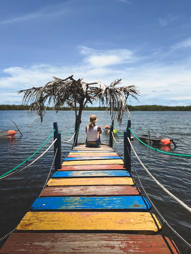 Manglar, isla de San Andrés, Colombia