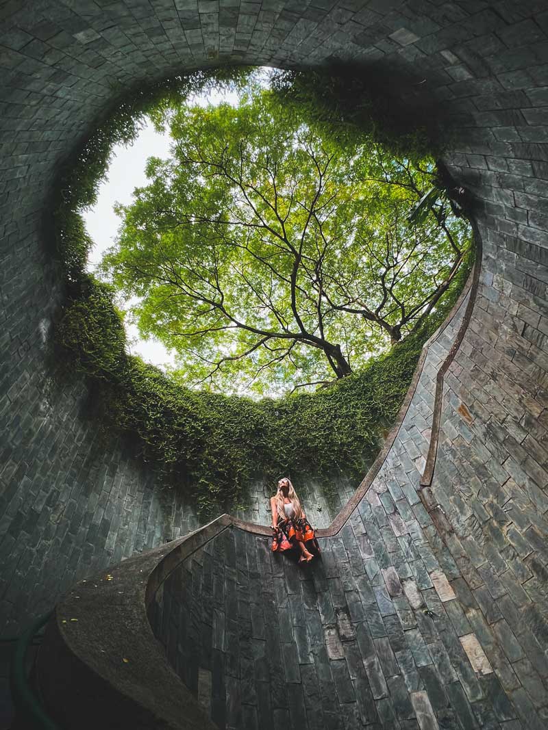 Fort Canning Tree Tunnel, Singapur Fort Canning Tree Tunnel, Singapur