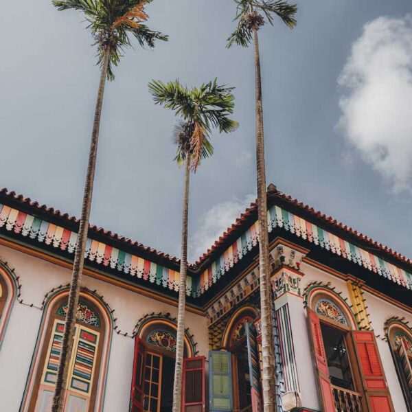 Tan Teng Niah, Little India, Singapur