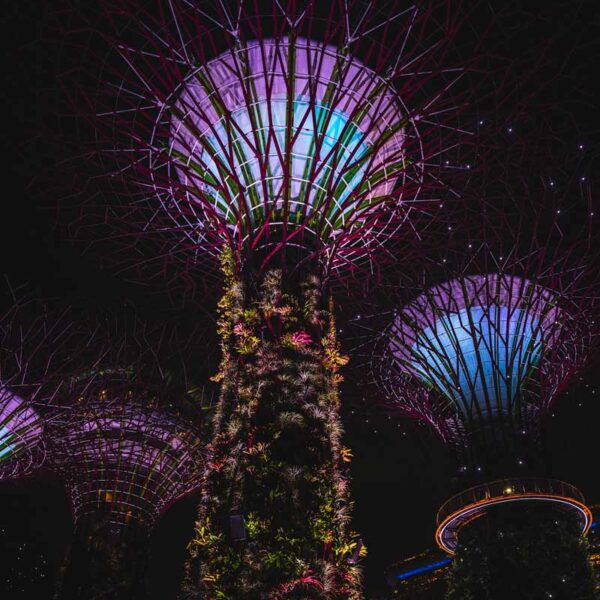 Gardens by the Bay, Singapur