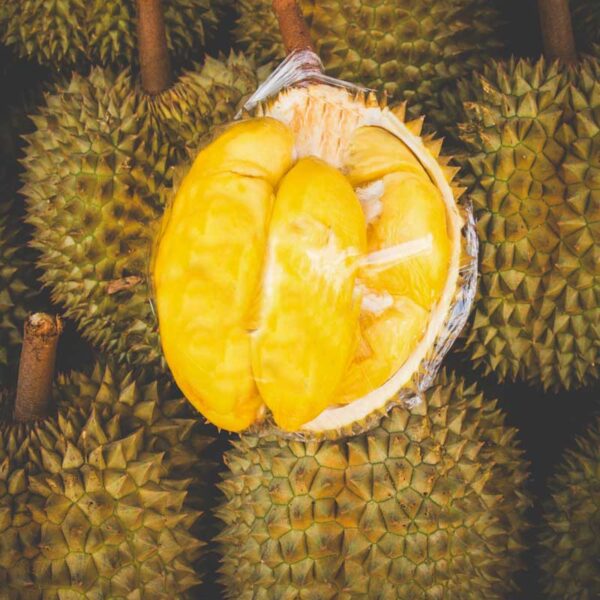 durian
